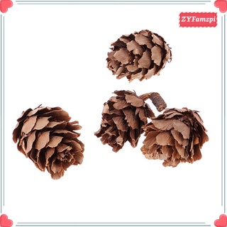 30 conos de pino natural seco piñas rústicas de pino marrón para