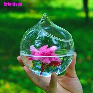 [Brightsun] Bola colgante de cristal maceta jarrón terrario contenedor paisaje botella