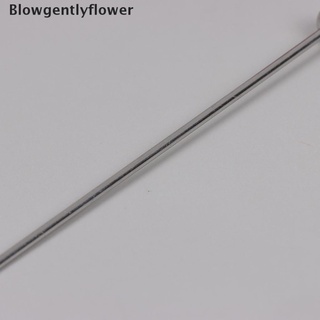 blowgentlyflower - 10 palillos de frutas de acero inoxidable, tenedores de frutas, palillos de dientes bgf