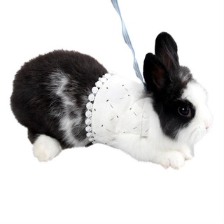 Pet conejo flores impreso chaleco correa cuerda pecho correa tracción ropa