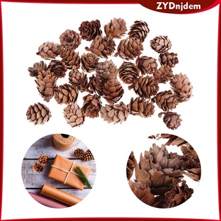 120 piezas al por mayor mini conos de pino seco rústico natural a granel para navidad (7)