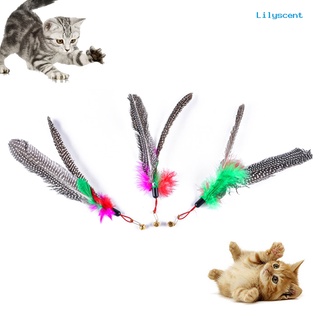 lilyscent mascota gato gatito palo varita campana pluma reemplazo cabeza jugando juguete interactivo