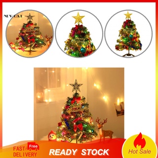 Newcat DIY Mini pino de navidad sin marchitar Artificial de navidad pino encantador decoración de mesa