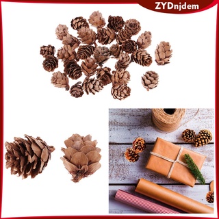 120 piezas al por mayor mini conos de pino seco rústico natural a granel para navidad (9)