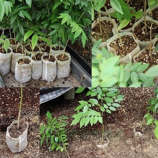 TASKER New Garden Supplies Environmental Bags Fabrics Nursery Pots Plant-fiber Seedling-Raising 100Pcs/Set Non-woven/Multicolor (2)