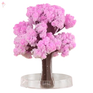 Lc support Magic Growing Tree Paper Sakura Crystal Trees Desktop Cherry Blossom juguetes.Mi (9)
