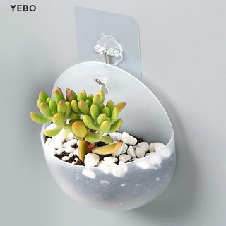 [YEBO] Creative Wall Mounted Acrylic Vase Wall Hanging Planter Plant Flower Pot Holder