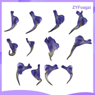 12 Pieces Of Real Dried Leaves Handmade Pressed Flower Dried Flowers For (5)