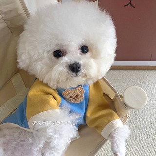 (disfraz De tela para mascotas) Ins mascota perro T-shirt encabezado S.weater Teddy Bichon perro pequeño costura manga corta y temporada completa ropa de gato