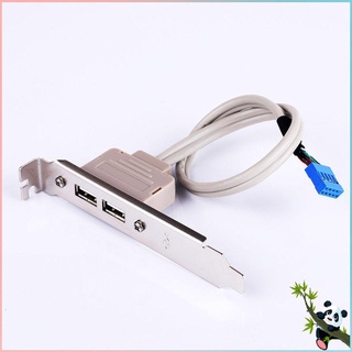 Two-port USB Rear Bezel Desktop Cable Computer Chassis PCI Bit Dual-port 2.0 Motherboard Extension Cable
