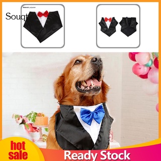 sq- toalla de perro amigable con la piel para mascotas, pañuelo llamativo para fiesta