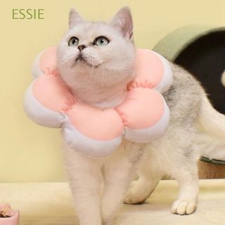Essie collar De perro Gato/collar De Elisabhan/collar/collar De perro/multimedias/multimedias