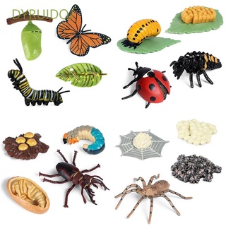 dyruidoj ciencia juguete crecimiento ciclo modelo biología figuras de acción simulación animales niños juguete araña insectos animales pollo para niño material de enseñanza ciclo de vida figura