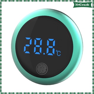 Mini Digital Electronic Temperature Display Ground for Greenhouse Basement (9)