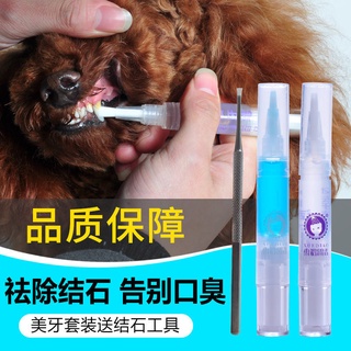 Limpieza de dientes para mascotas, limpieza de dientes, gato, perro, gato, dientes, mosi