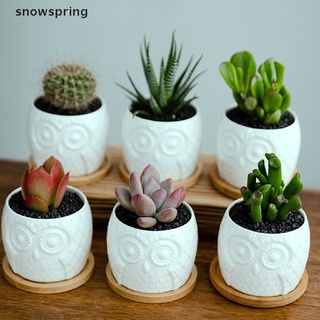 snowspring suculenta maceta mini cerámica suculenta maceta cactus maceta con drenaje co (2)