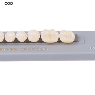 [cod] 5 juegos/caja dental sintético polímero dientes resina dentadura dental modelo caliente (4)