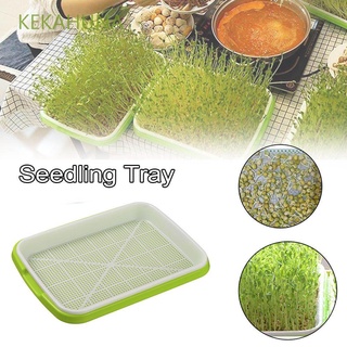 KEKAHUNA Durable Gardening Tools Natural Hydroponic Vegetable Seedling Tray Harmless Nursery Pots Wheatgrass Plastic Encryption Soilless Planting Soilless cultivation/Multicolor (1)