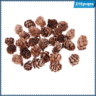 30Pcs Small Unpainted Natural Dried Pinecones Home Party Hanging Ornament XMAS Dcor
