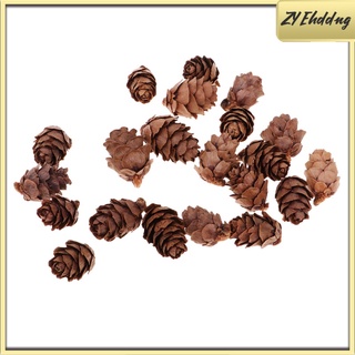 50 piezas mini conos de pino seco rústico natural a granel para fiesta de navidad (2)