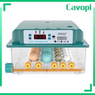 [cavopi] Incubadora de huevos para el hogar pequeña incubadora automática pato pollo pájaro huevos aves de corral (3)