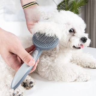 Cepillo De masaje Para mascotas De acero inoxidable con peine Para remover mascotas (1)