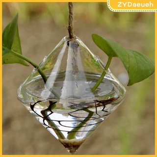 dia. 4\\\\ "botella colgante de vidrio transparente para plantas, flores, jardín, mesa, decoración (1)
