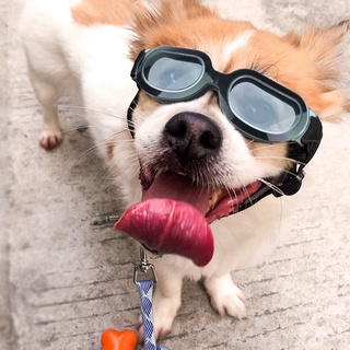 lentes uv con estilo y diversión para mascotas/perro/cachorro/lentes de sol/protección impermeable para perros/negro brillante (5)