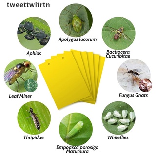 Tweettwitrtn trampa Para Moscas fuertes/Placa adhesiva Para insectos plagas insectos y asesino