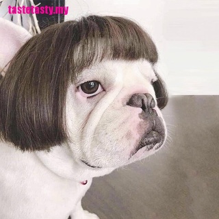 [Gusto] pelucas de moda para mascotas/perro/gato Cospaly Props pelucas Tiara/peluche Makeover Cl (1)