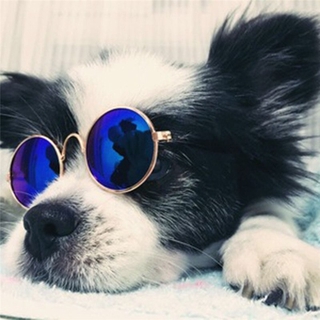 1 pza lentes de sol para mascotas pequeñas gafas de gato gafas de gato coloridas accesorios para fotos accesorios de cosplay (1)