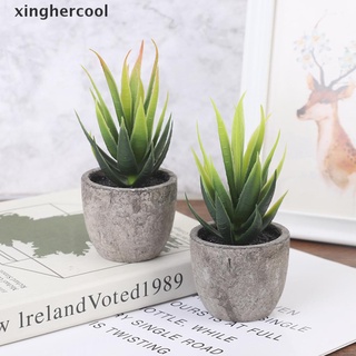[xinghercool] plantas artificiales de moda/flores hechas a mano/verde/suculentas/plantas calientes