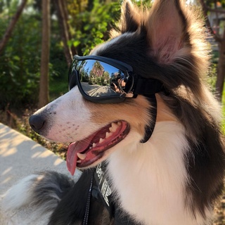 gafas de sol para mascotas/perros/lentes de sol/protección uv/anti-viento/lentes de ojos