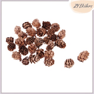 30 x pequeños conos de pino seco natural en flores secas a granel para (5)