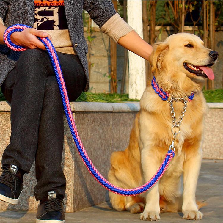 Collar De cuerda Para perros y correas Estéreo/Conjunto De collar Para perros Grandes (9)