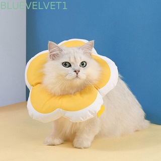 Bluevelvet1 For All Season/gatito De recuperación Para perros/cachorros Elisabhan Collar De gato/Multicolor
