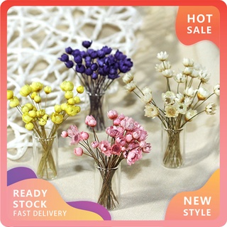 Yx-Mo Mini jarrón de flores secas frescas modelo de muñeca decoración de casa muebles para el hogar manualidades