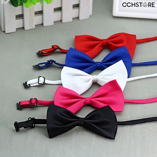 cchstore - corbata de pajarita decorativa de nailon, color sólido, ajustable, para compras (1)
