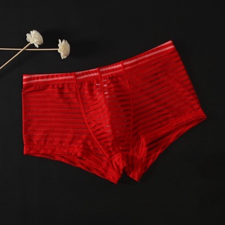 Fstylefang-ropa interior bragas de cintura baja Sexy tanga de malla transparente para hombre calzoncillos tronco (6)