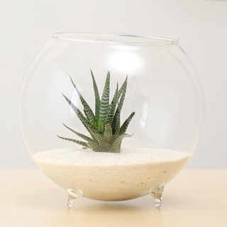 1pcs jarrón de flores de vidrio diy titular en forma de bola tanque de peces adorno decorativo