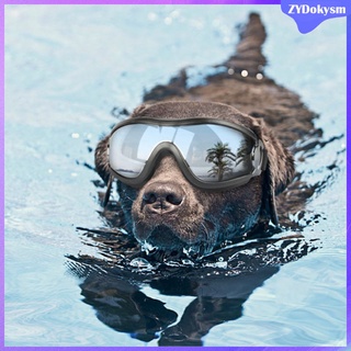 Gafas De Sol Para Perros Grandes , A Prueba De Viento , Accesorios Al Aire Libre