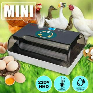 Incubadora de huevos Digital totalmente automática 12 huevos avícolas Hatcher para pollos patos