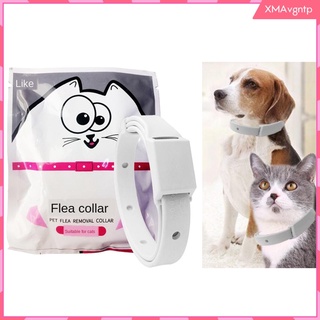 collar ajustable impermeable para mascotas/gatos/perros/pulgas/cachorro/gatito (2)