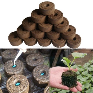 Seedling Block Nutrient Block Compression Compressed Peat Block Soil Medium