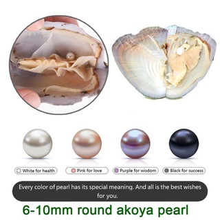 [0824] Vacuum package freshwater pearl small mussel river clam pearl one clam (1)