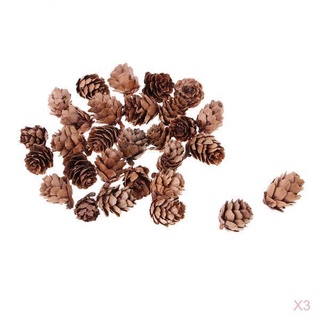 90pcs Small Natural Dried Pine Cones In Bulk Dried Flowers for Christmas Decors (4)