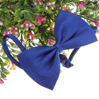 cchstore - corbata de pajarita decorativa de nailon, color sólido, ajustable, para compras (4)