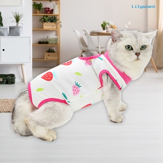 lilyscent gato posparto tela patrón de frutas impresión anti lamiendo algodón heridas recuperación destete traje para el cuidado