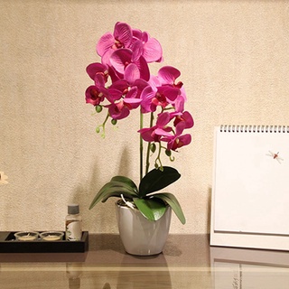 Simulación hoja verde de mariposa orquídea flor planta decoración solo hoja (1)