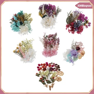 Bulk Real Dried Flowers Pressed Leaves Embellishments for Nail Art Decors (3)